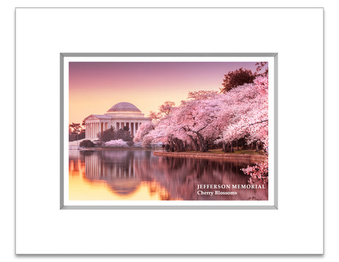 8"x 10" Jefferson Memorial Matted Print Cherry Blossoms