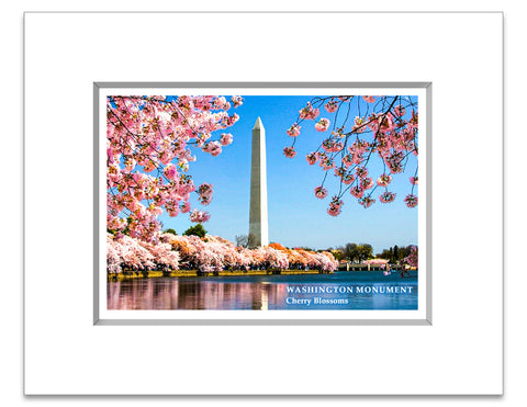 8"x 10" Washington Monument Matted Print Cherry Blossoms